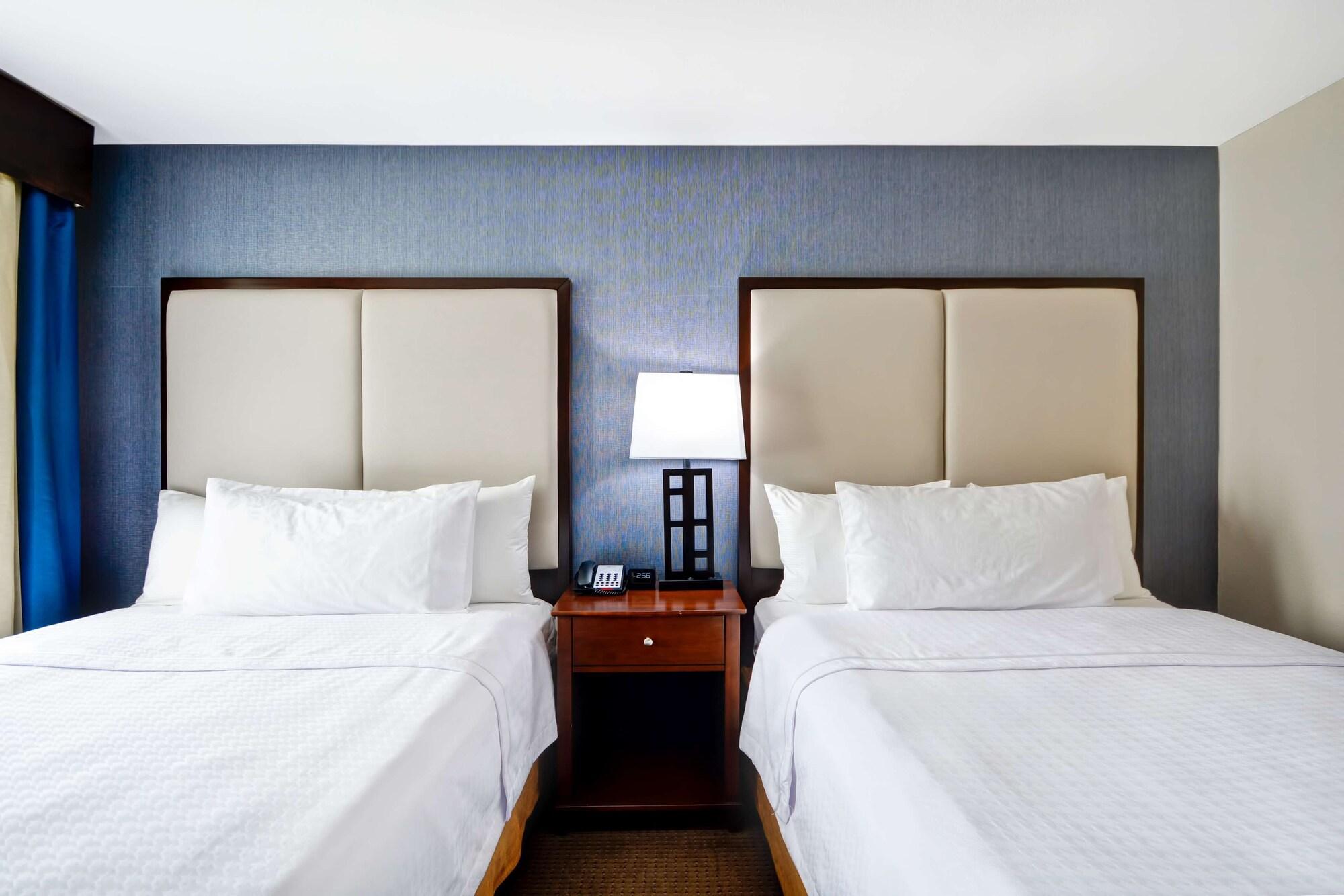 Hotel Homewood By Hilton Dallas-lewisville Lewisville